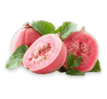guava