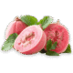 guava